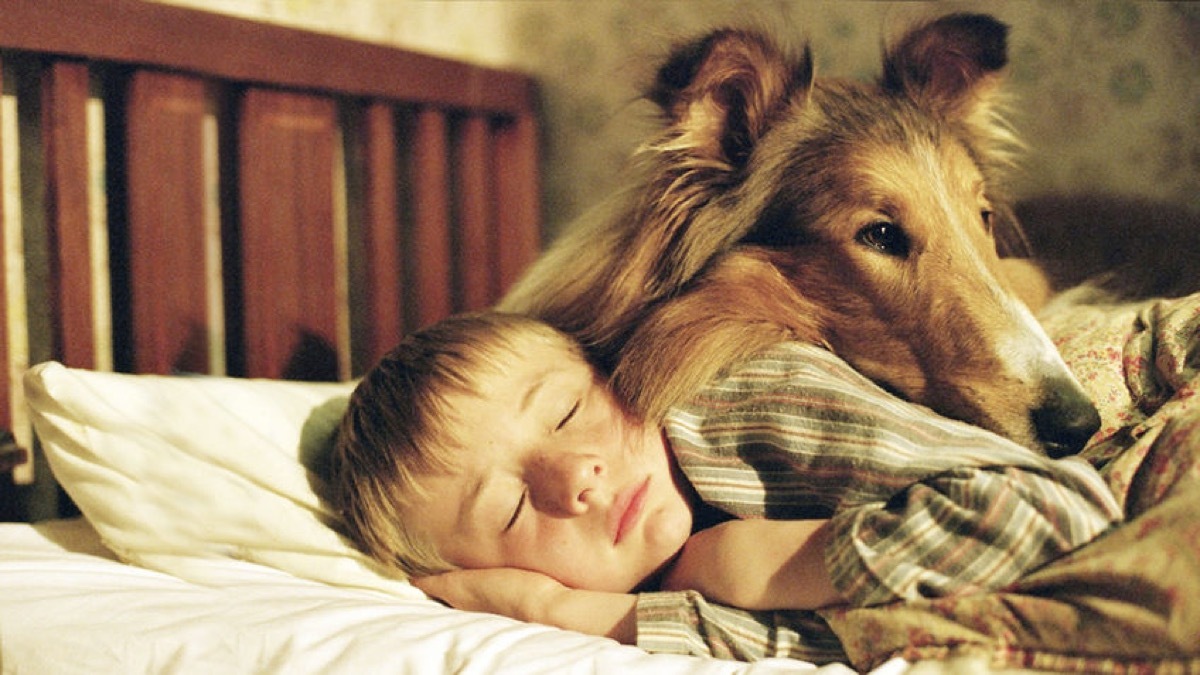 still from lassie